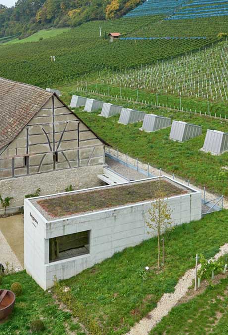  Разширение на винарна в Остерфинген с покривни прозорци VELUX
