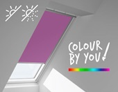 Colour By You