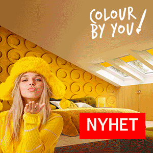 VELUX Colour by you